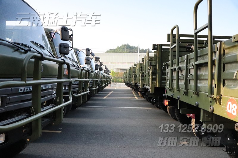 東風卡車出口,EQ2102G,東風六驅(qū)卡車,越野卡車,東風經(jīng)典車型,3.5噸貨車