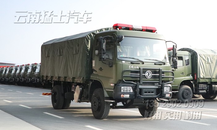 液壓尾板車,電動升降圍板車,物流倉儲車,港口貨物運輸車,東風天錦專用車,DFH1180,18噸物流車