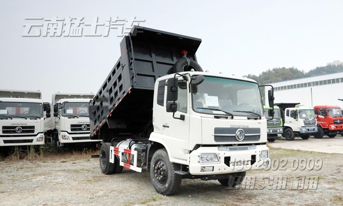 東風(fēng)4*2卡車,天錦自卸車,東風(fēng)天錦報(bào)價(jià),載重5噸自卸車,160馬力自卸車,DFL3120B