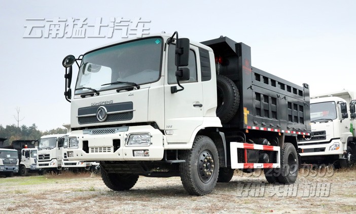 東風(fēng)4*2卡車,天錦自卸車,東風(fēng)天錦報(bào)價(jià),載重5噸自卸車,160馬力自卸車,DFL3120B