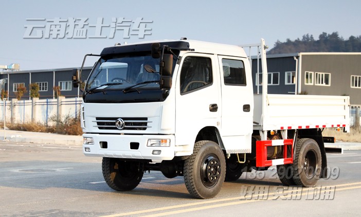 右舵卡車(chē),雙排卡車(chē),出口專(zhuān)用車(chē)定制,4*4右駕貨車(chē),越野卡車(chē),全驅(qū)車(chē)出口