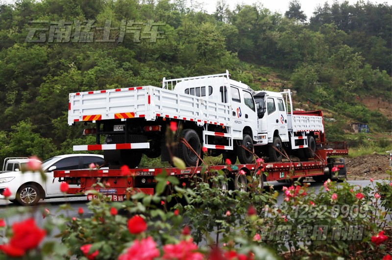 雙排輕卡,出口非洲,十堰泛亞貿(mào)易,汽車出口,四驅(qū)輕卡