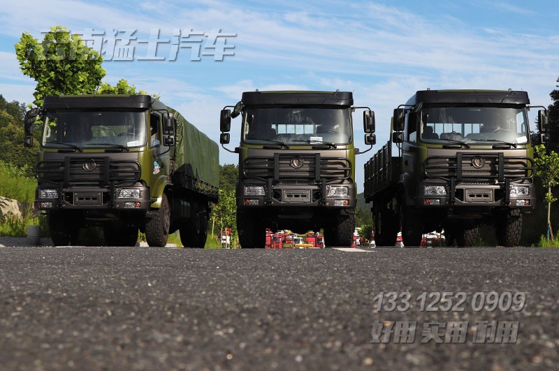 六驅(qū)卡車,拉木料卡車,車輛出口